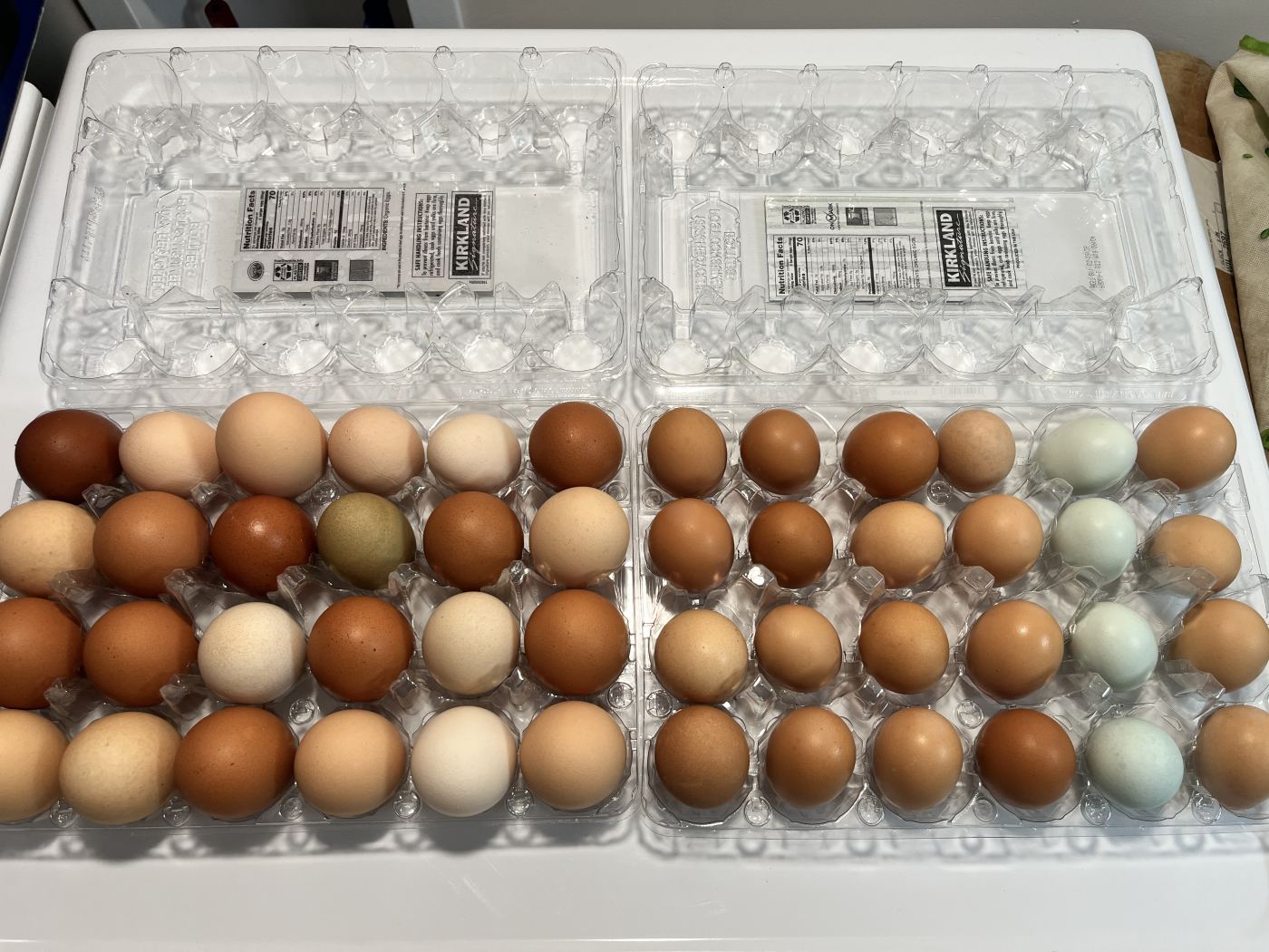 Update photo from Tinish Irsha Farm